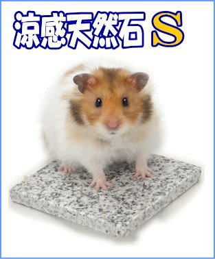 Amazon | 三晃商会 涼感 天然石 S | Sanko | フード 通販